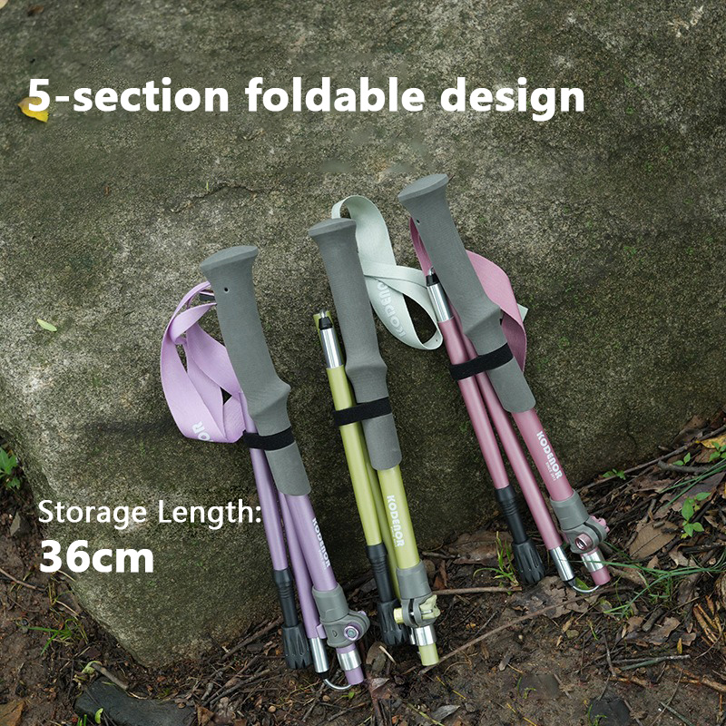 2pcs Women 5-Section Foldable  - Trekking Pole Carbon recension och pris