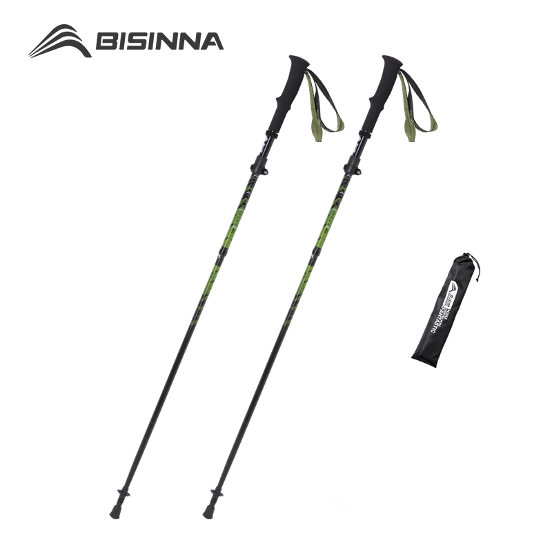 BISINNA Carbon Fiber Trekking  - Trekking Pole Carbon recension och pris