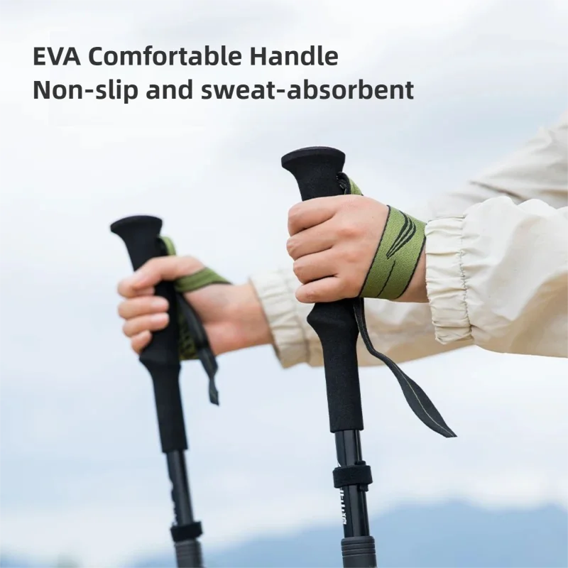 BISINNA Carbon Fiber Trekking  - Trekking Pole Carbon recension och pris