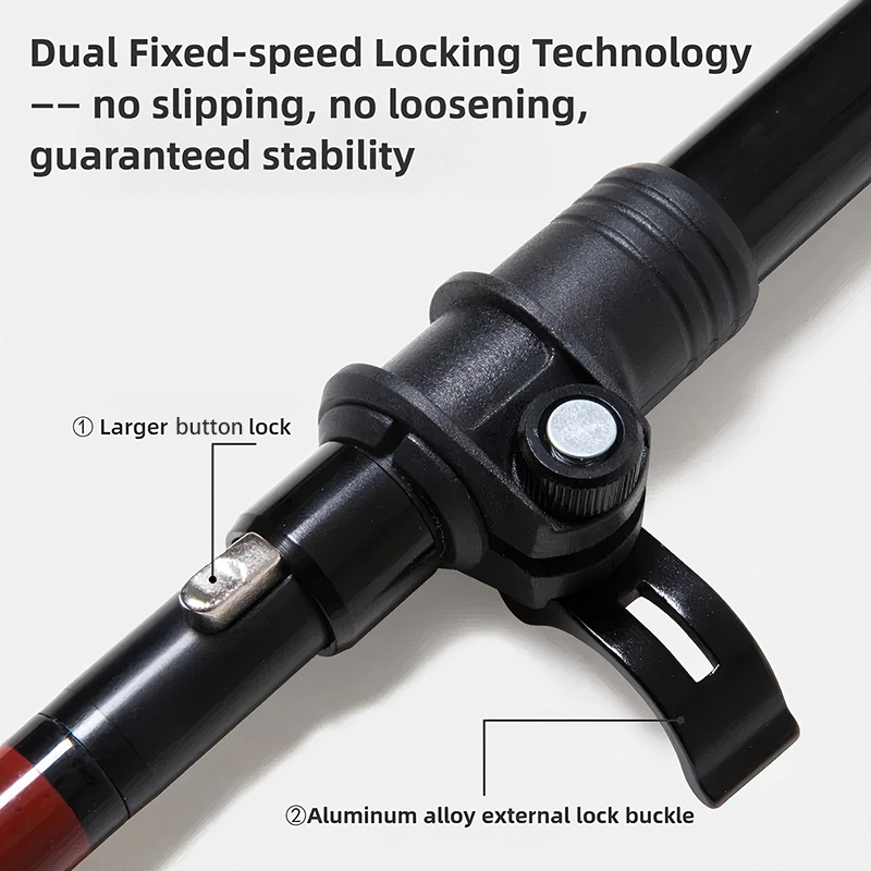 BISINNA Carbon Fiber Trekking  - Trekking Pole Carbon recension och pris