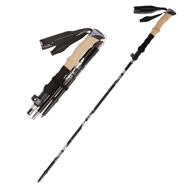 Carbon Fiber 5 Section Ultrali - Trekking Pole Carbon recension och pris